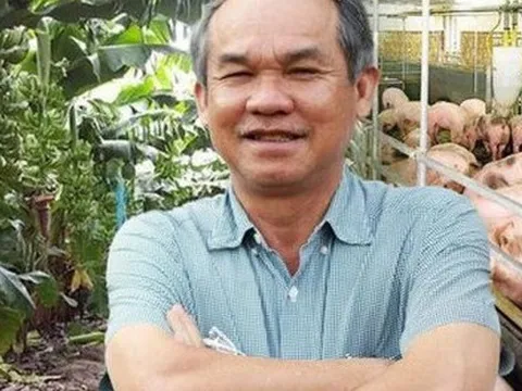 CTCK ra báo cáo phân tích về HAGL sau nhiều năm bỏ qua