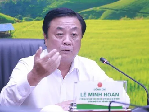 Sau loạt bài phanh phui rau VietGAP 'dỏm' của báo Tuổi Trẻ, Bộ NN&PTNT họp 'nóng'