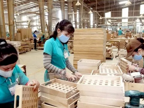'Có doanh nghiệp gỗ giảm đến 80% doanh thu từ thị trường Mỹ, kim ngạch sang EU về 0'