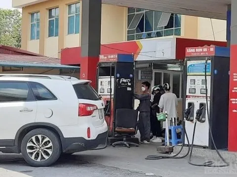 Quỹ bình ổn giá xăng dầu chỉ hoạt động tốt khi dự báo tốt giá thế giới