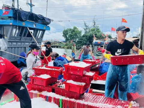 Quảng Nam, Đà Nẵng, Thừa Thiên - Huế... hối hả ứng phó bão Noru