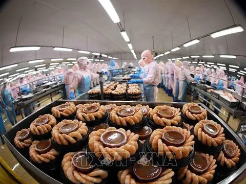 Nhiều cơ hội cho xuất khẩu tôm