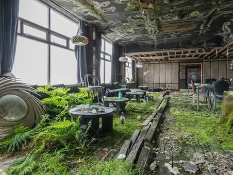 Khám phá bên trong khách sạn bị bỏ hoang tại Ireland, nơi khung cảnh được bao trùm bởi thảm thực vật