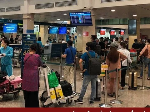 Sản lượng vận chuyển khách các hãng hàng không Việt Nam giảm mạnh