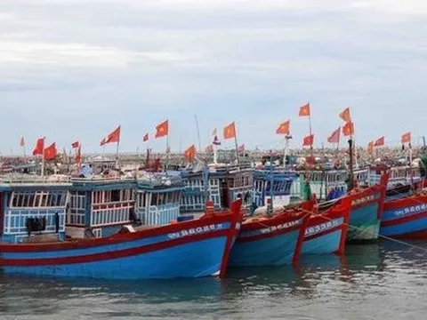 Đóng cửa một số cảng biển khu vực miền Trung do ảnh hưởng của bão Noru