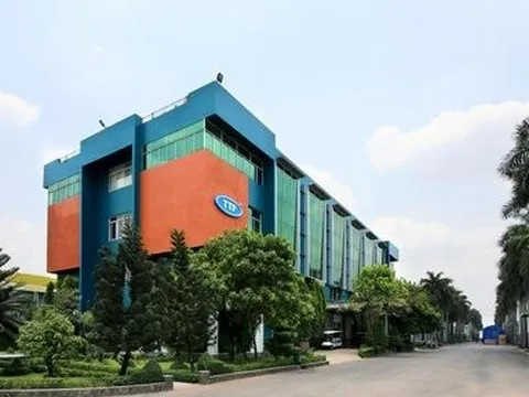 Gỗ Trường Thành bị phạt vì công bố sai lệch số liệu báo cáo tài chính