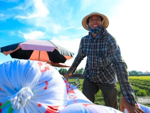 Hà Nội: Tháo gỡ khó khăn trong việc thực hiện chính sách "tam nông"