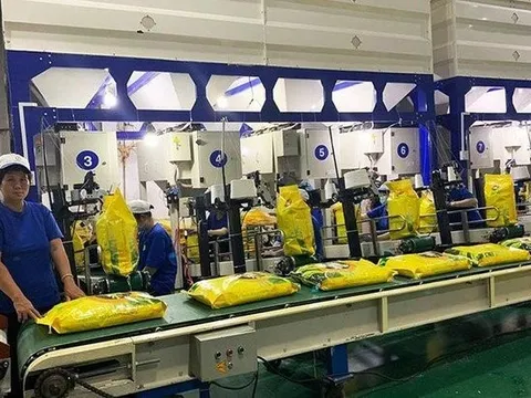 Gạo Trung An phát hành 7,1 triệu cổ phiếu để trả cổ tức