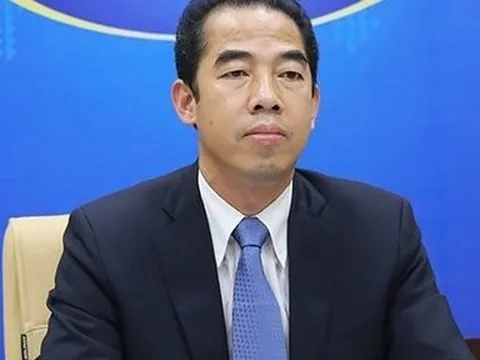 Khai trừ Đảng đối với ông Tô Anh Dũng, Nguyễn Quang Linh