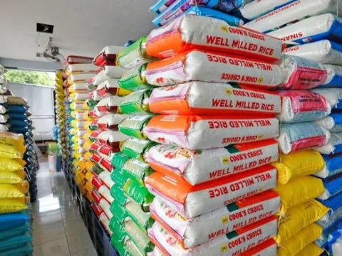 Bão Noru tàn phá mùa màng, Philippines tính sớm nhập khẩu thêm gạo