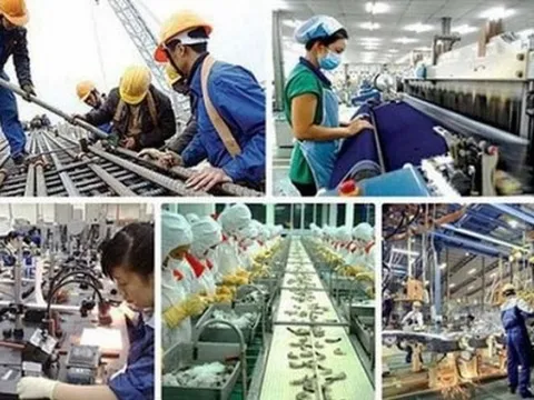 Sửa Luật Việc làm: Phát huy chức năng của bảo hiểm thất nghiệp