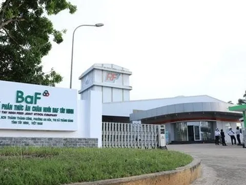 Doanh nghiệp của Chủ tịch Trương Sỹ Bá muốn sở hữu 37% vốn BAF