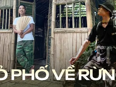 Tại sao nhiều người trẻ bỏ việc lương hàng chục triệu ở thành phố để về rừng sống?