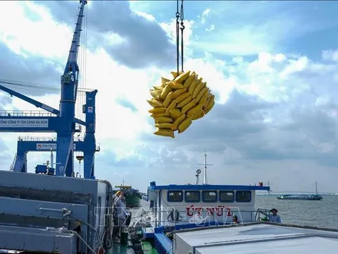 Báo Italy: Việt Nam sẽ trở thành 'Con hổ mới ở châu Á'