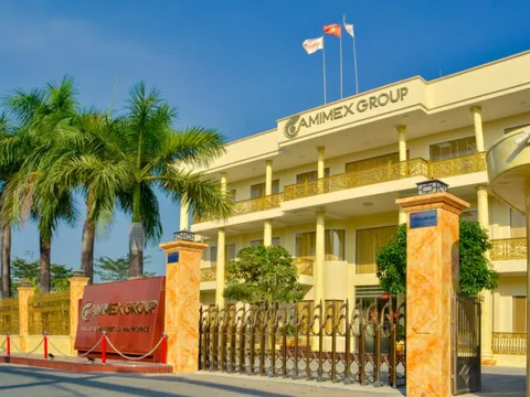 Vi phạm hàng loạt lỗi, Camimex Group bị phạt 310 triệu đồng