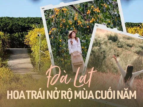 Vô vàn lý do phải chuẩn bị áo ấm để không bỏ lỡ thời tiết và mùa hoa trái Đà Lạt cuối năm này