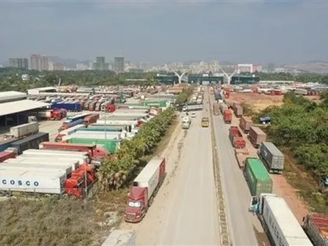 Xử lý nghiêm các hành vi tiêu cực liên quan hoạt động xuất, nhập khẩu