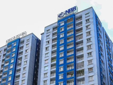 Đầu tư Năm Bảy Bảy có thêm cổ đông lớn