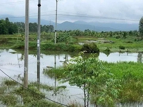 Hà Tĩnh: Nước lũ rút, phát hiện thi thể người đàn ông bên cánh đồng