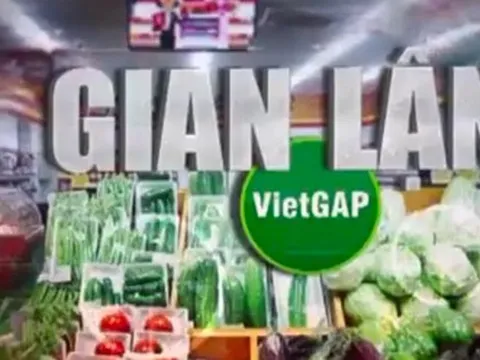 Rau VietGAP “rởm” tuồn vào siêu thị, đền bù thế nào cho người mua hàng?