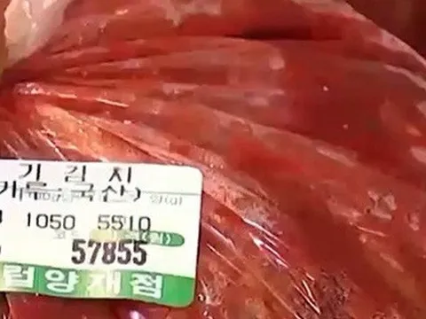 Hàn Quốc thiếu nghiêm trọng nguồn kim chi phục vụ người dân