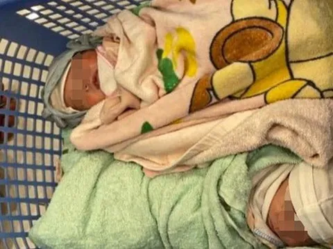 Hai bé gái sơ sinh bị bỏ rơi tại lối vào khu đô thị, chân còn giấy ghi tên mẹ