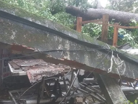 Những siêu bão từng đổ bộ vào Việt Nam