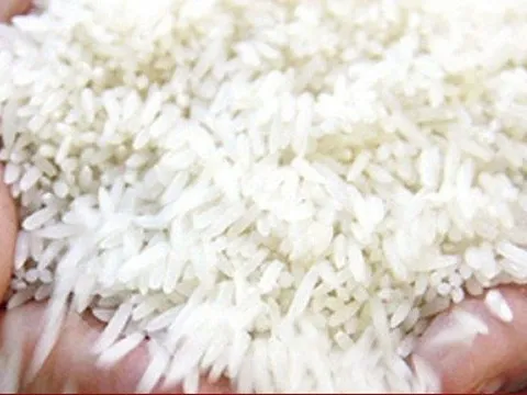 Giá gạo Ấn Độ cao nhất trong 1,5 năm qua