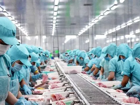 Xuất khẩu thủy sản Việt Nam sắp lập kỳ tích lịch sử 10 tỷ USD