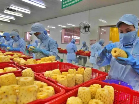 Khơi thông dòng vốn cho doanh nghiệp sản xuất cao điểm dịp cuối năm