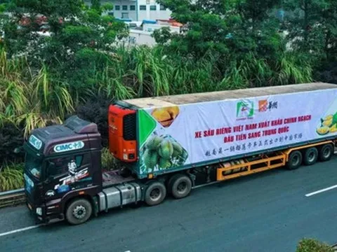 Báo Thái Lan đánh giá cao sức cạnh tranh của sầu riêng Việt Nam