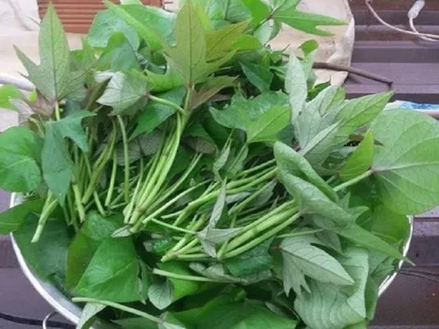 Rau lang tốt cho sức khỏe nhưng cần lưu ý những điều sau để tránh mắc bệnh