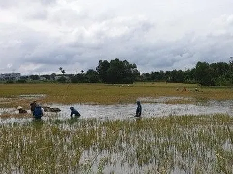 Thanh Hóa: Phát lệnh báo động II trên sông Cầu Chày