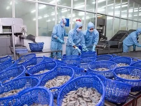 Sao Ta hoàn thành gần 80% kế hoạch doanh thu cả năm sau 9 tháng