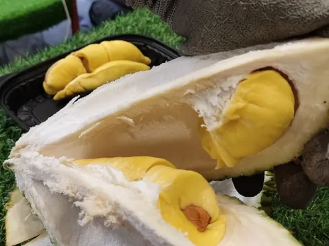 Giá sầu riêng cao ngất ngưởng dù xuất sang Trung Quốc chưa bao nhiêu