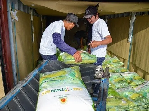 Lộc Trời dự chi hàng trăm tỷ đồng để trả cổ tức năm 2021