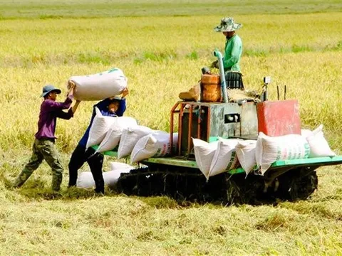 Đảm bảo an ninh lương thực, đẩy mạnh xuất khẩu