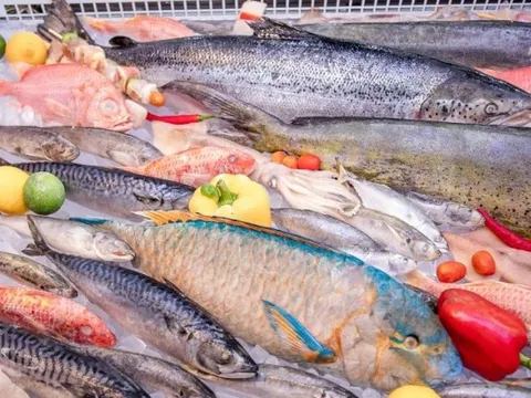 Chuyên gia VASEP: Hết tháng 11, xuất khẩu thủy sản có thể chạm mốc 10 tỷ USD