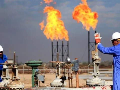 OPEC+ khả năng sẽ cắt giảm sản lượng dầu lớn nhất kể từ năm 2020