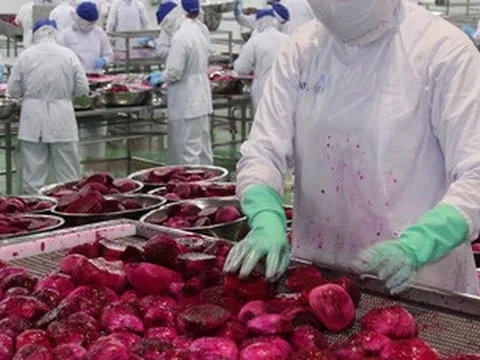 9 tháng, ngành nông nghiệp xuất siêu tăng gấp đôi năm ngoái