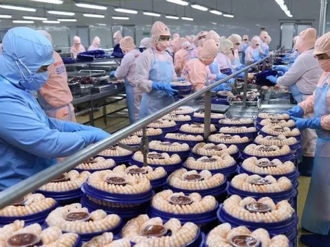 Bến Tre: Rà soát số liệu, hồ sơ truy xuất thủy sản để gỡ thẻ vàng