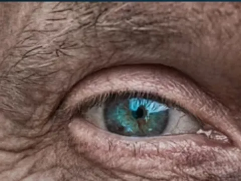 Đột phá: Dự đoán nguy cơ bệnh tim mạch bằng AI