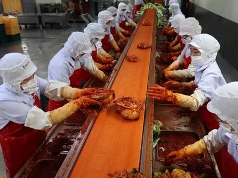 Hàn Quốc sắp xây 2 siêu kho dự trữ cải thảo