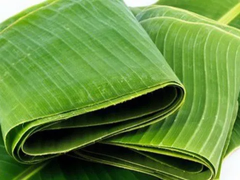 Việt Nam xuất khẩu lá sắn, chuối, khoai lang... thu về hơn 6 triệu USD