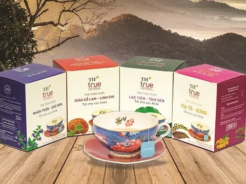 Tập đoàn TH: Hành trình đưa tinh hoa thảo dược ngàn năm vào tách trà mỗi ngày