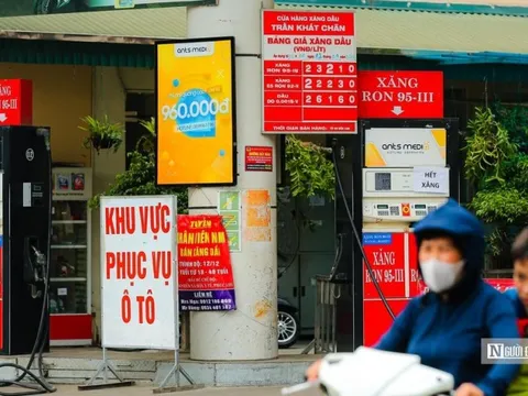 36 doanh nghiệp kinh doanh xăng dầu “cầu cứu” Thủ tướng