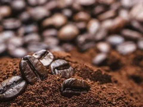 Xuất khẩu cà phê đạt hơn 3 tỷ USD trong 9 tháng và dự báo