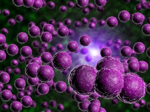 Dùng ánh sáng diệt gọn mầm bệnh “chết chóc hơn COVID-19”