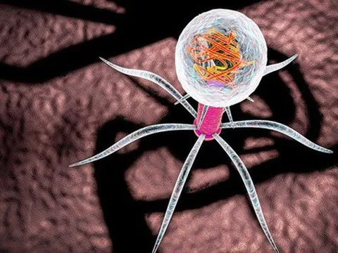 Nghiên cứu mới: Vi rút có thể nghe và xem chúng ta