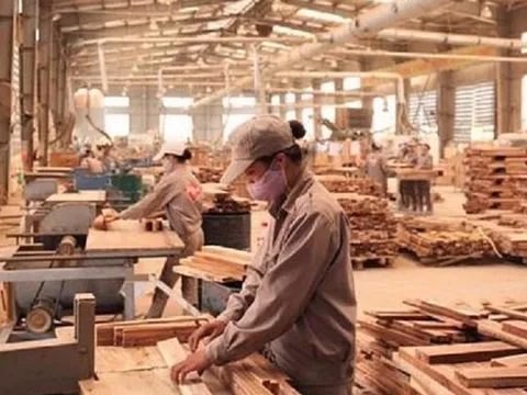 Phó Chủ tịch HAWA: Xuất khẩu gỗ năm 2022 có thể đạt gần 17 tỷ USD